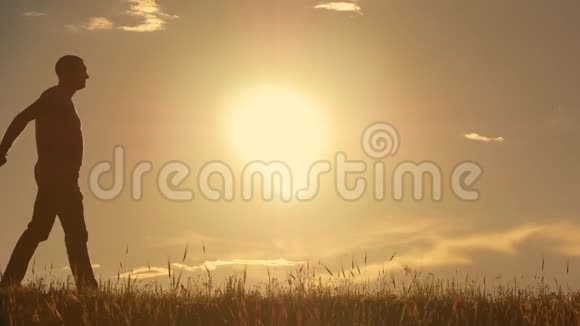 幸福的年轻家庭孩子们在田野里奔跑夕阳下的剪影视频的预览图