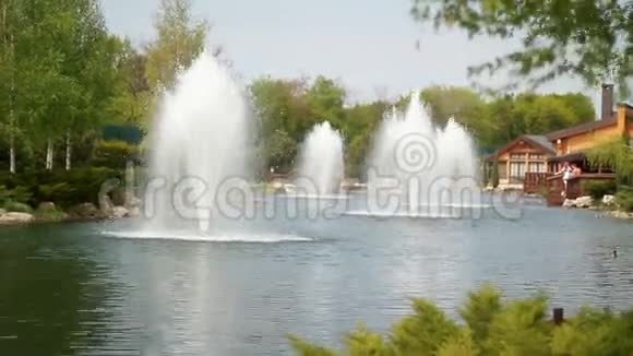 乌克兰公园里的喷泉视频的预览图