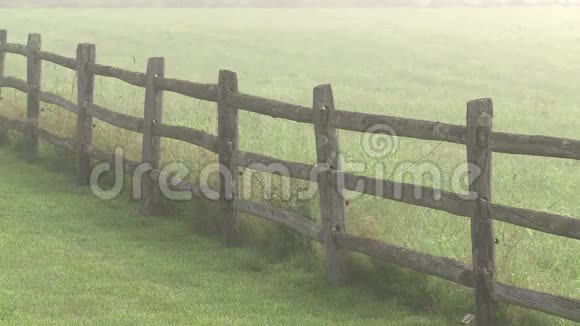 从分隔的栏杆上眺望一片雾蒙蒙的草地视频的预览图