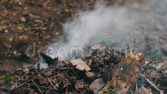 用烟雾燃烧干燥的叶子环境污染视频的预览图