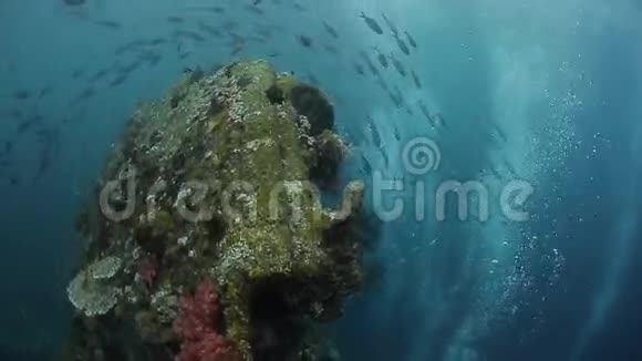 一艘沉船的水下射击视频的预览图