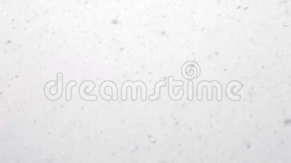 在白色的天空中缓缓落下巨大的真实雪花视频的预览图
