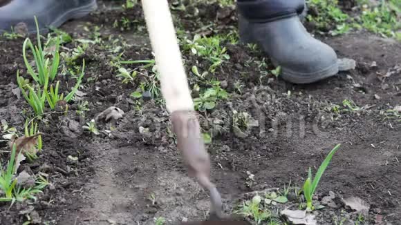一个女人在花园里工作用一把锄头把草从地上移走视频的预览图