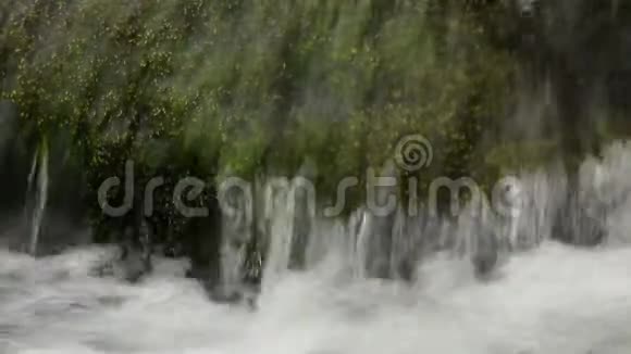 靠近大自然中的小瀑布和绿色植物视频的预览图