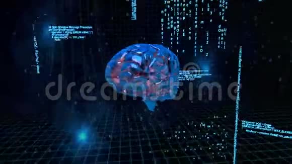 大脑反二进制码旋转动画视频的预览图
