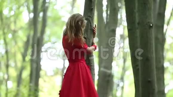 在森林里散步的漂亮女人视频的预览图