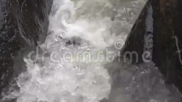 山涧瀑布在林间视频的预览图