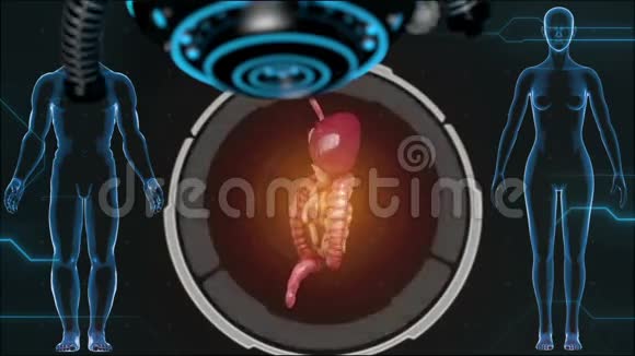 消化系统肠道在HUD未来背景视频的预览图