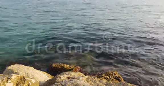 地中海蓝色海浪和海底4k西班牙视频的预览图