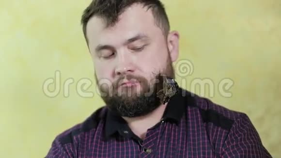 一个留着胡子的人抱着一只蝴蝶视频的预览图