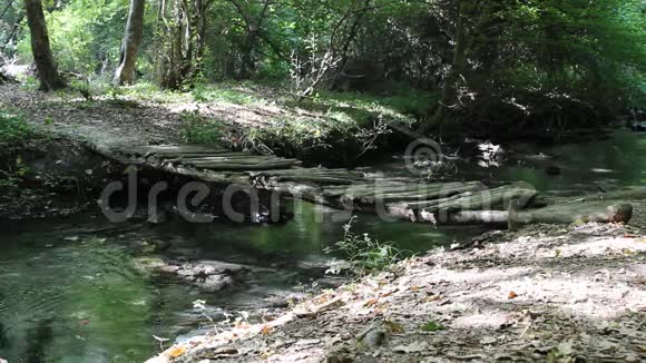 阿塞拜疆Nabran森林中的河流视频的预览图