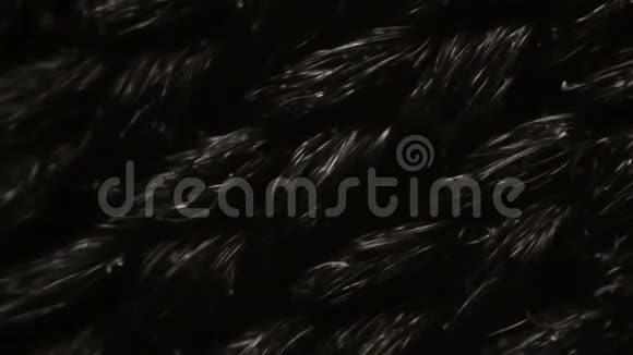 显微镜下黑色尼龙网布纤维视频的预览图
