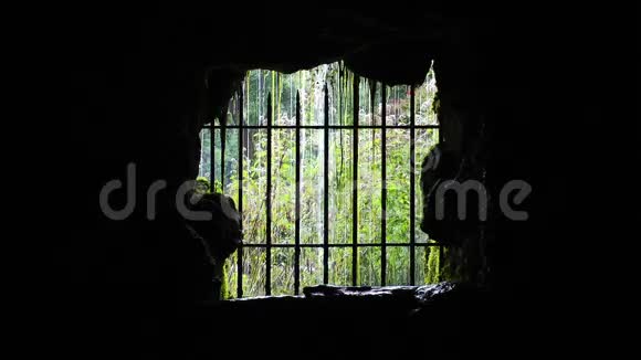 洞穴铁栅栏背后的瀑布和自然视频的预览图