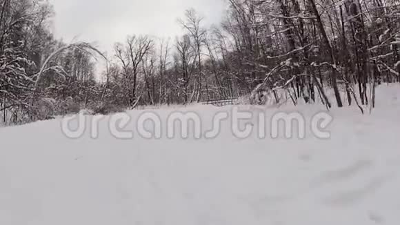 人在冬林中滑雪视频的预览图