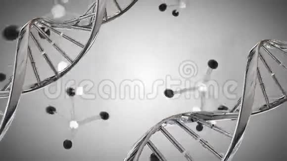 DNA双螺旋和分子模型视频的预览图