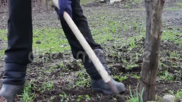 一个女人在花园里工作用一把锄头把草从地上移走视频的预览图