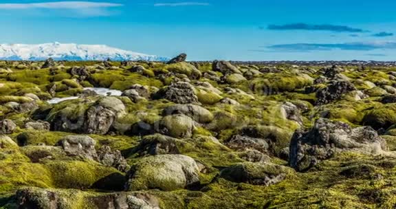 冰岛苔藓环境延时滑动视频视频的预览图