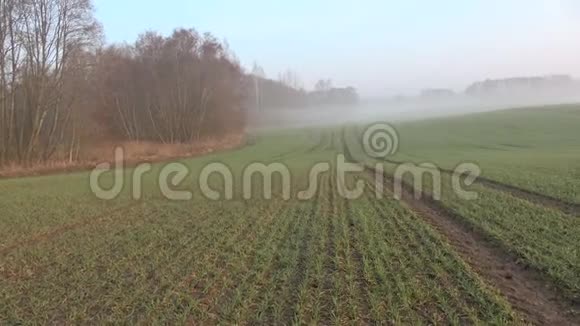 春天朦胧的早晨农田景观视频的预览图