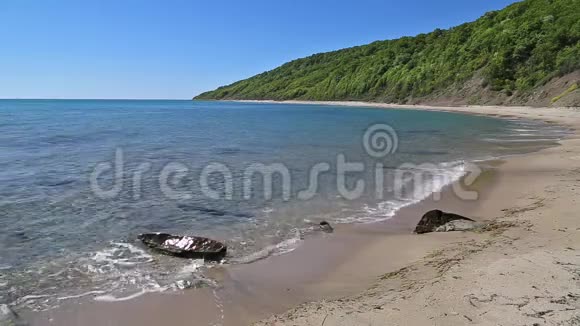 保加利亚黑海沿岸的海滩和森林视频的预览图