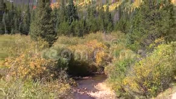 山溪在秋天放大视频的预览图