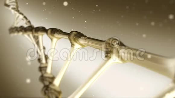 金色DNA螺旋旋转视频的预览图