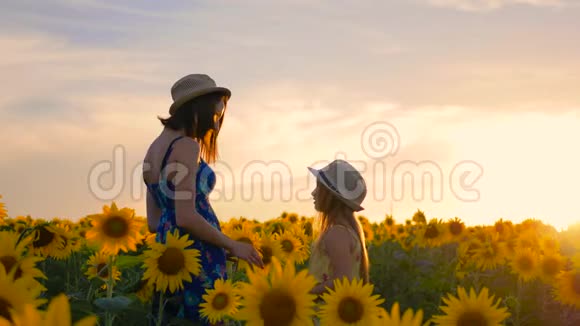 向日葵田的母女戴着帽子的母女正在穿过向日葵的田野这就是视频的预览图
