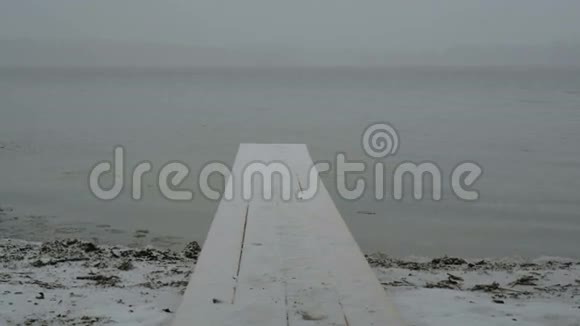 女孩在桥上的湖岸上跳跃和挥手冬雪快乐96fps视频的预览图