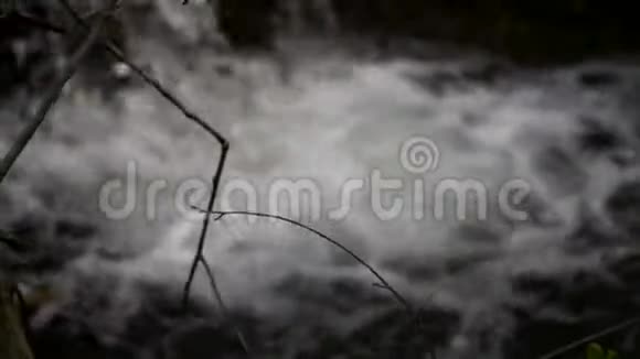 森林中清澈的瀑布视频的预览图