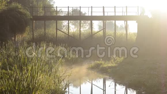 夏日清晨老桥上有一条小河视频的预览图