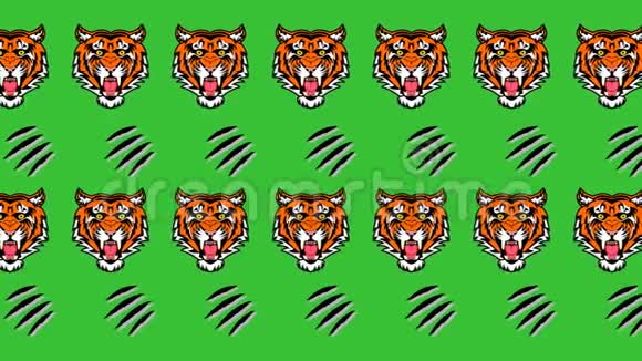 绿色背景动画上的老虎和锋利的爪子视频的预览图
