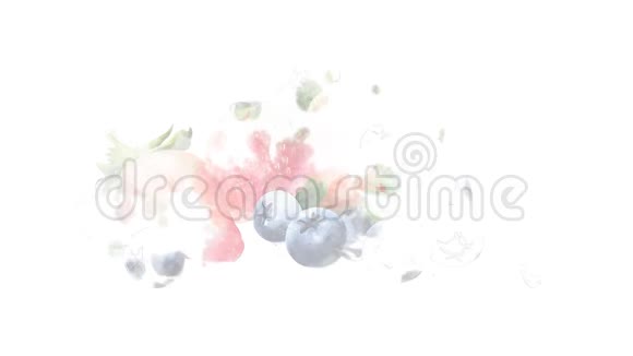 水彩画阿尔法通道上蓝莓和草莓的外观动画视频的预览图