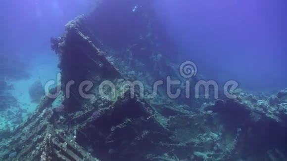在红海的背景景观下沉船上明亮的绿色珊瑚视频的预览图