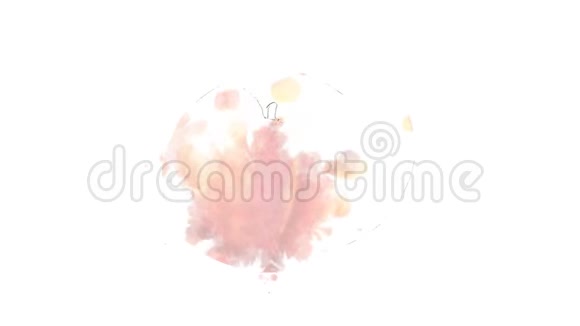 水彩外观动画的桃子上阿尔法频道视频的预览图