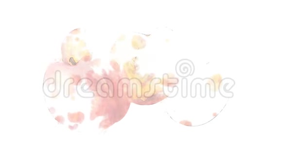 水彩外观动画的桃子上阿尔法频道视频的预览图