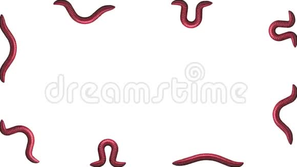 白色蠕虫阿尔法哑光循环三维动画视频的预览图