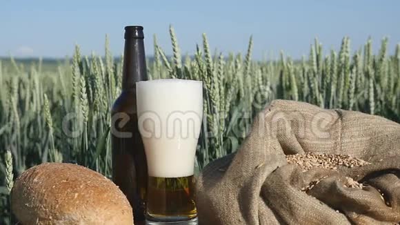 一杯啤酒和小麦地的面包视频的预览图