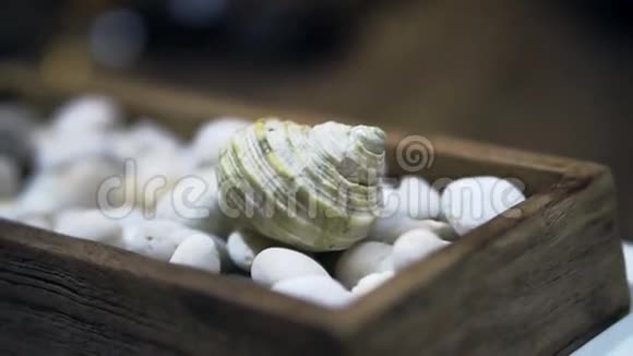 夏季元素的白色卵石背景视频贝壳视频的预览图