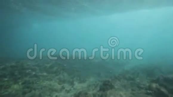 热带珊瑚礁的水下冲浪和海浪景观视频的预览图