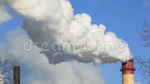 冬天的烟雾从植物的烟囱在蓝天霜冻雾蒙蒙的日子视频的预览图