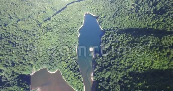 黑山BiogradskaGora国家公园Biogradsko湖的鸟瞰图视频的预览图