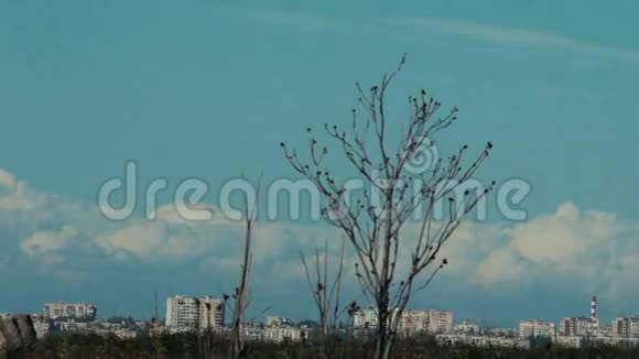 遥远的蓝天背景上的苏联式乡村景观视频的预览图