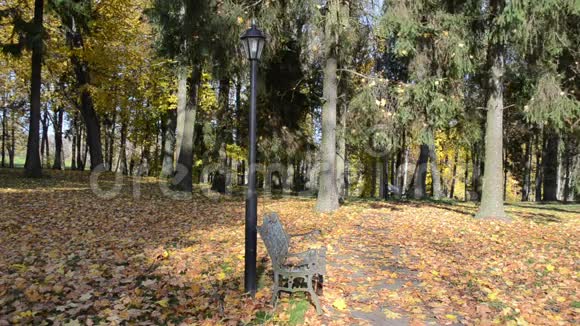 秋天落叶公园美丽的女人走坐凳灯视频的预览图