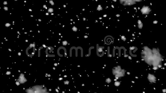 高质量的动画雪落在黑色背景上视频的预览图