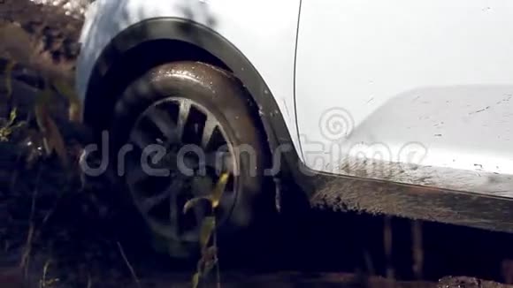 车的车轮在泥泞的森林里越野越野车视频的预览图