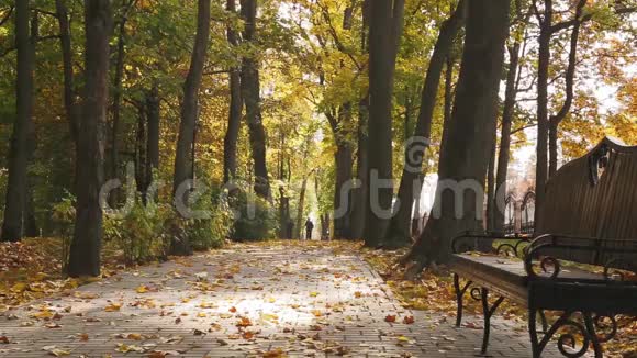 公园里的长凳秋天的白天光滑的娃娃射击视频的预览图