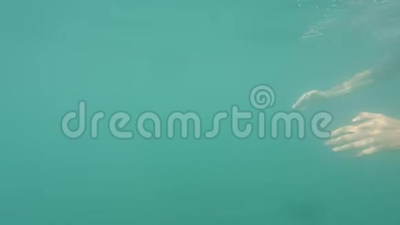 水下景色人在海上游泳视频的预览图