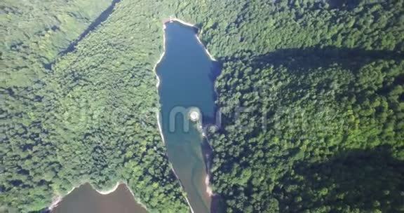 黑山BiogradskaGora国家公园Biogradsko湖的鸟瞰图视频的预览图