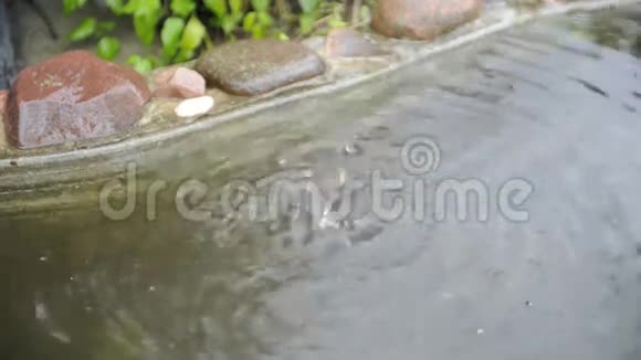 水从屋顶滴入池塘视频的预览图