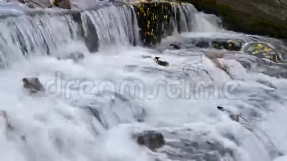 秋天公园里的一个小瀑布视频的预览图