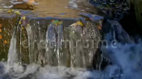 秋天公园里的一个小瀑布视频的预览图